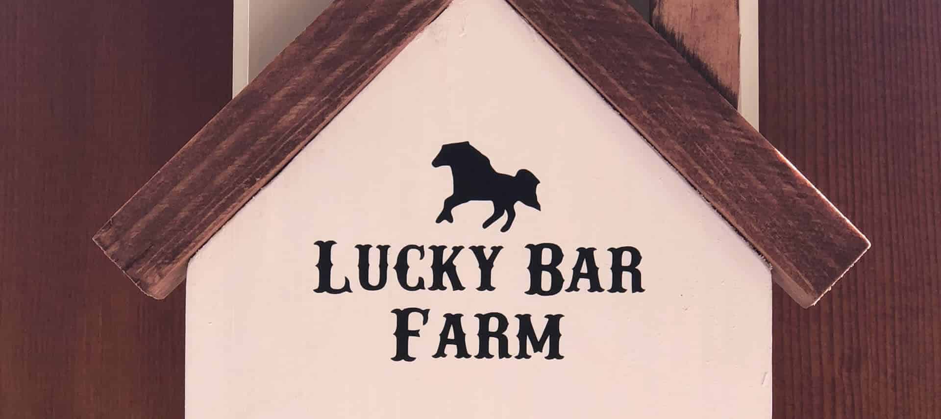Lucky Bar Farm logo - brown and cream with a black horse outline