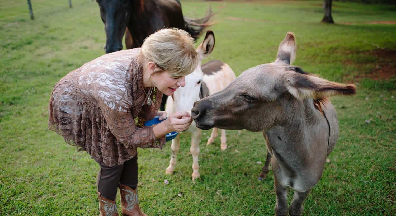 Lady feeding treats to a brown donkey while a white donkey waits in the background. 